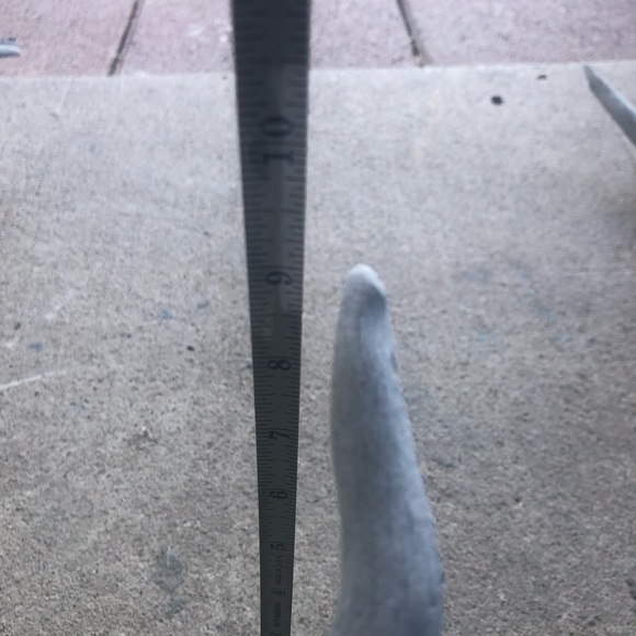 HOLD Vintage | Boho Deer Antler Rack Decor - Picture 14 of 16